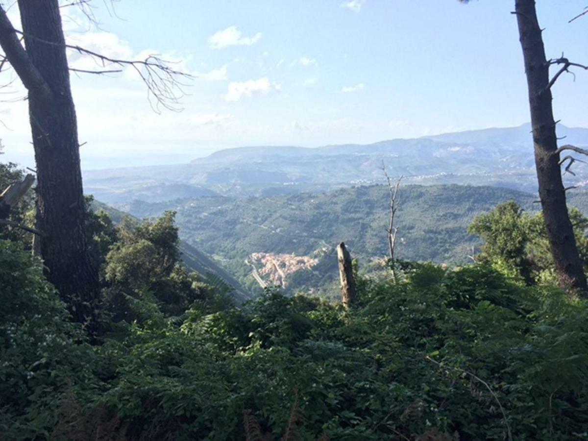 B&B Grandinetti Nocera Terinese Bagian luar foto