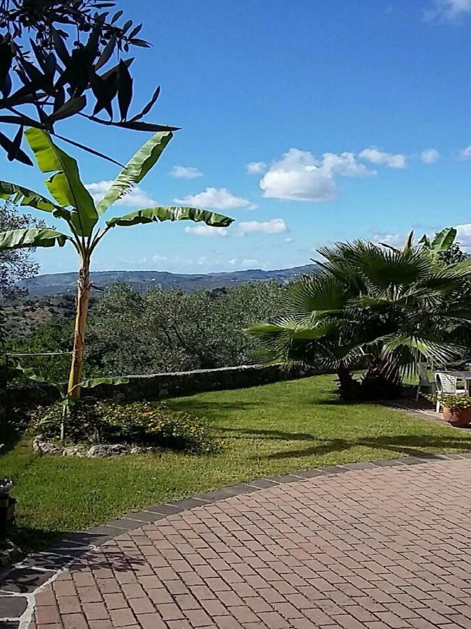 B&B Grandinetti Nocera Terinese Bagian luar foto
